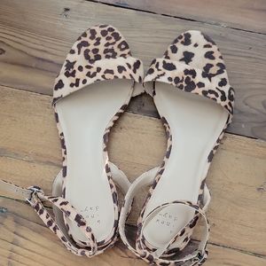 A New Day Leopard 🐆 Sandals